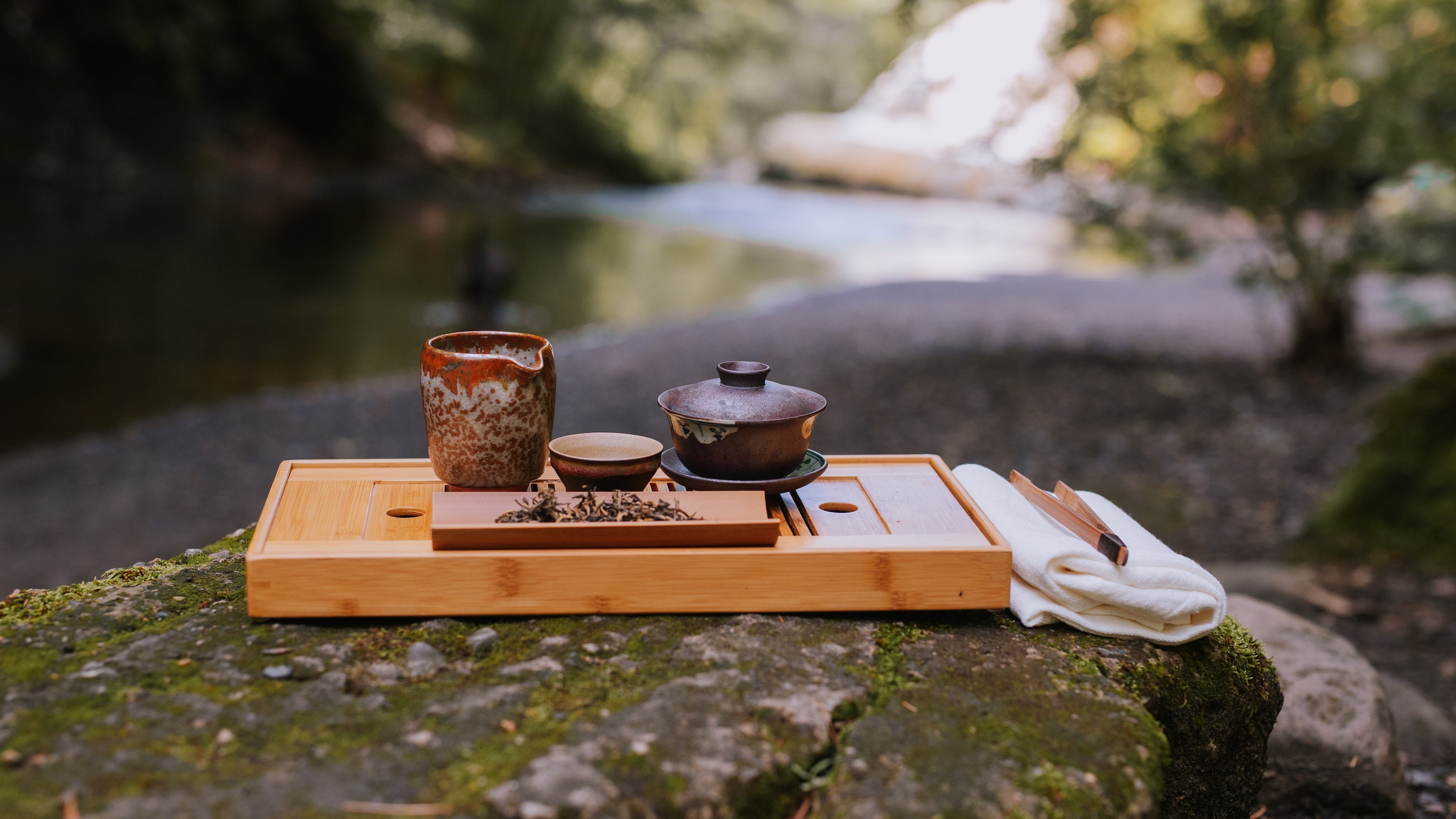 Insulated, Self-Infusing Tea To-Go Mug from Saratoga Tea & Honey