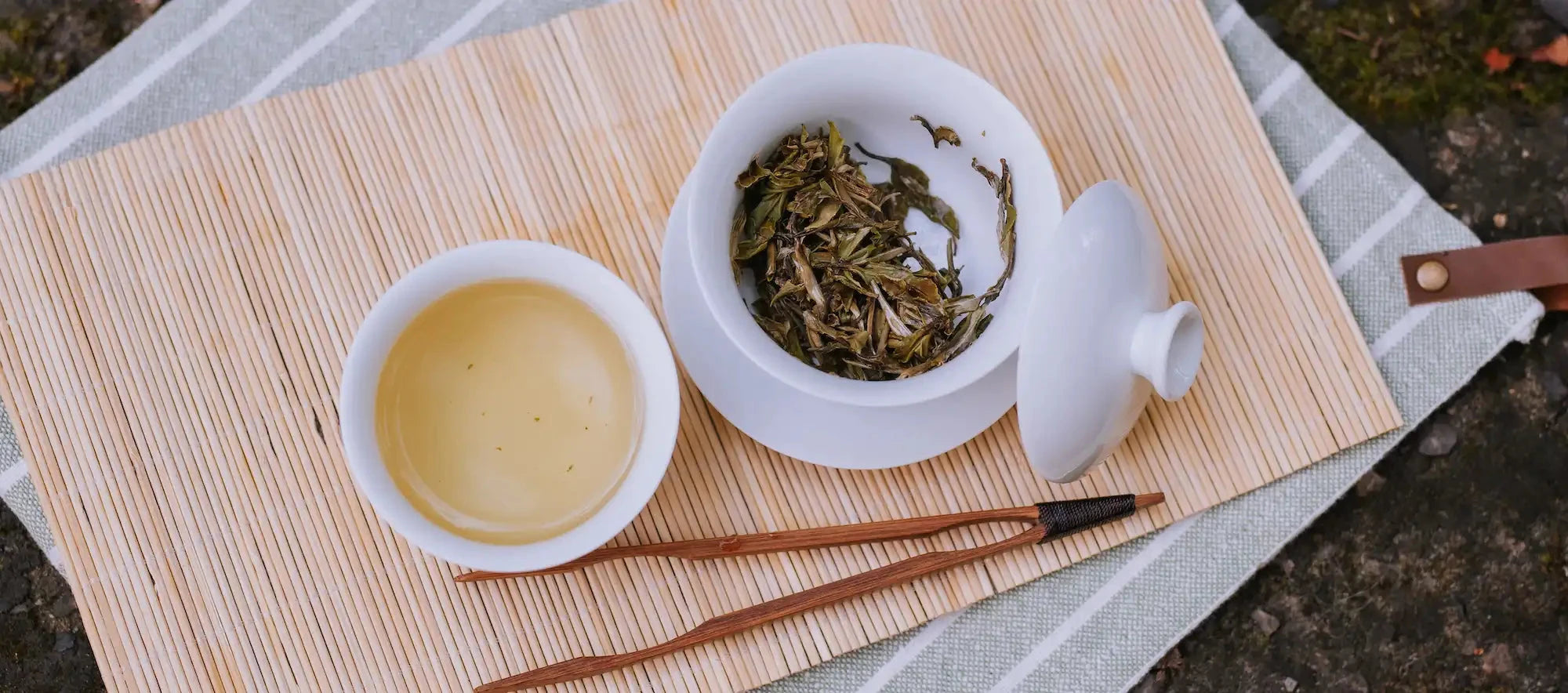 white tea in a gawian and a white cup brewed outside on a mossy rock